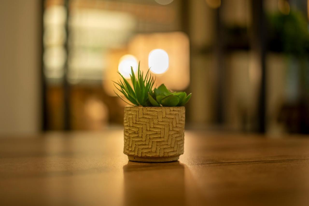 Metis Urbane Living Spaces Αθήνα Εξωτερικό φωτογραφία